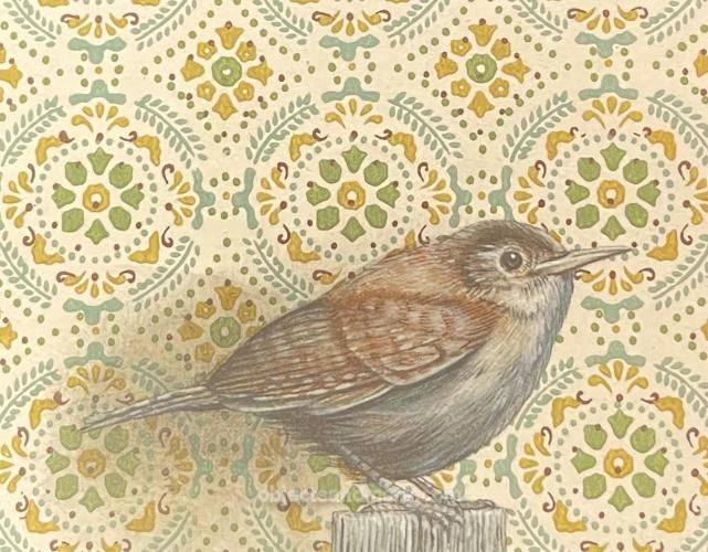 House Wren Note Card by EMILY UCHYTIL
